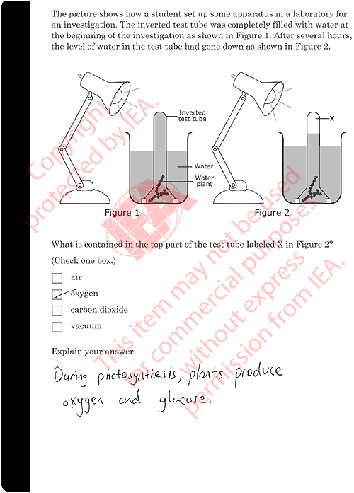 Find Starting Number Sample Answer